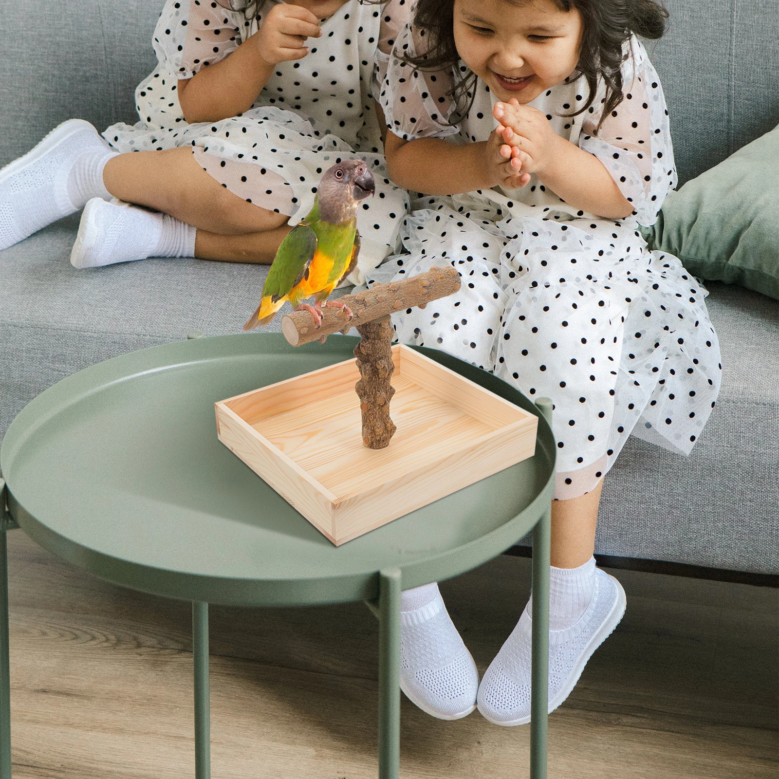 

Bird Stand Parrot Perch Desktop Cage Accessories Wooden Play Flat Indoor Office