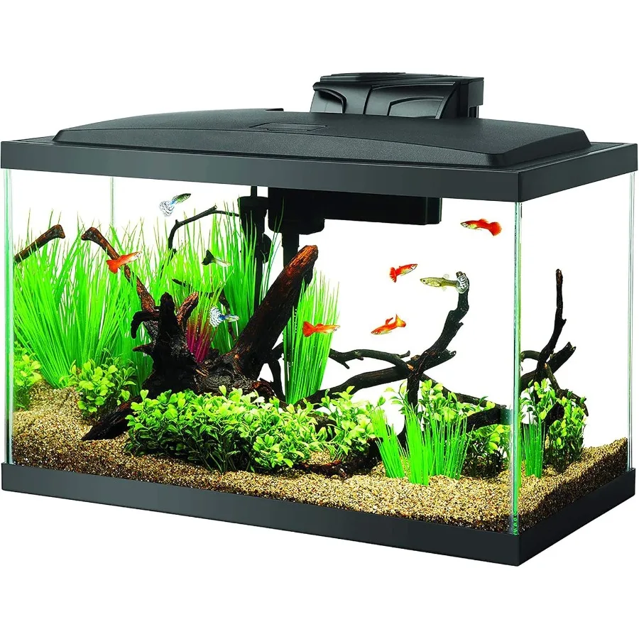 10 Gallon Aquarium Fish Tank Starter Kit LED