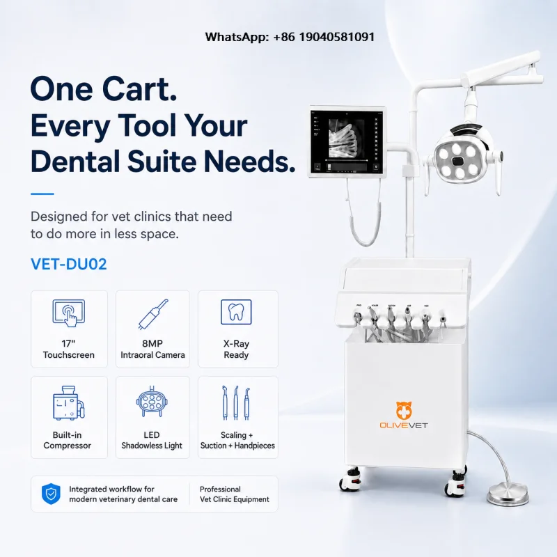 Olivevet Electric Oral 8mp Intraoral Touchscreen Scaler Oil-Free Silent Veterinary Dental Unit Portable