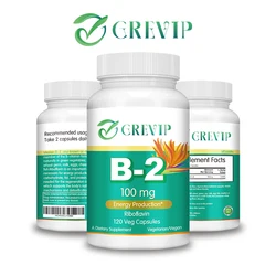 Vitamin B-2 - Promotes Energy Production and Supports Natural Detoxification