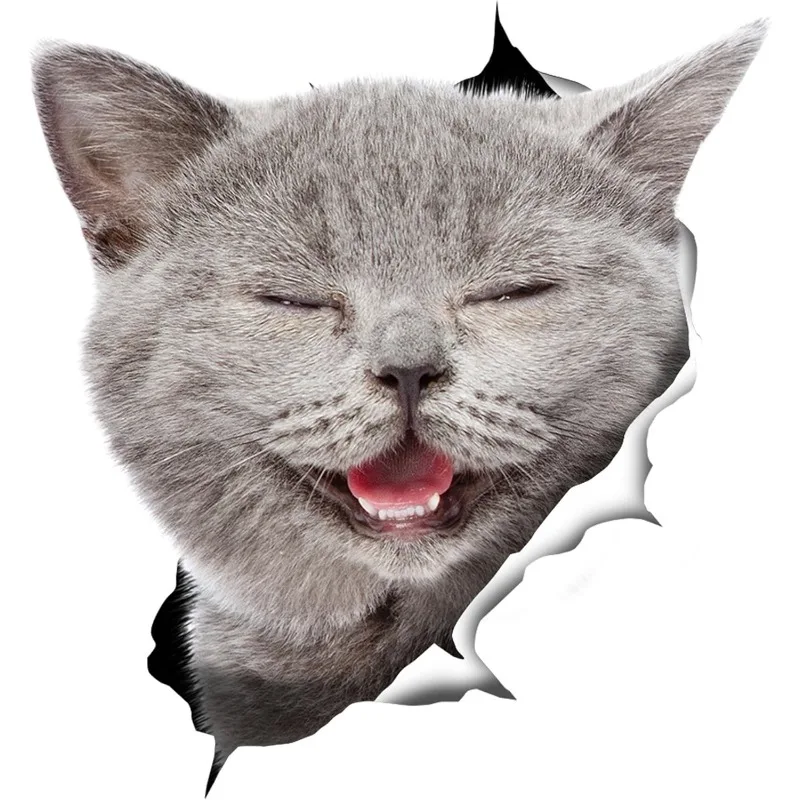 British Shorthair Cat Wall Decals British Shorthair  3D Cat Car Window and Bumper Sticker -Retail Packaged 15CM PVCKK