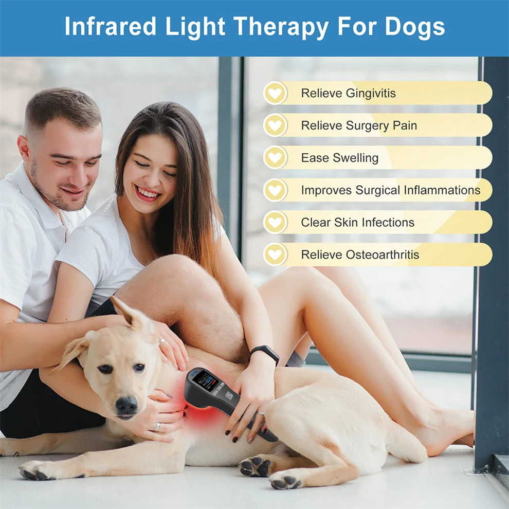 ZJKC 808nm x4+650nm x16 Physical Best Cold Laser Terapeutico 808 Nanometro Red Light Therapy For Dogs Treat Inflammation