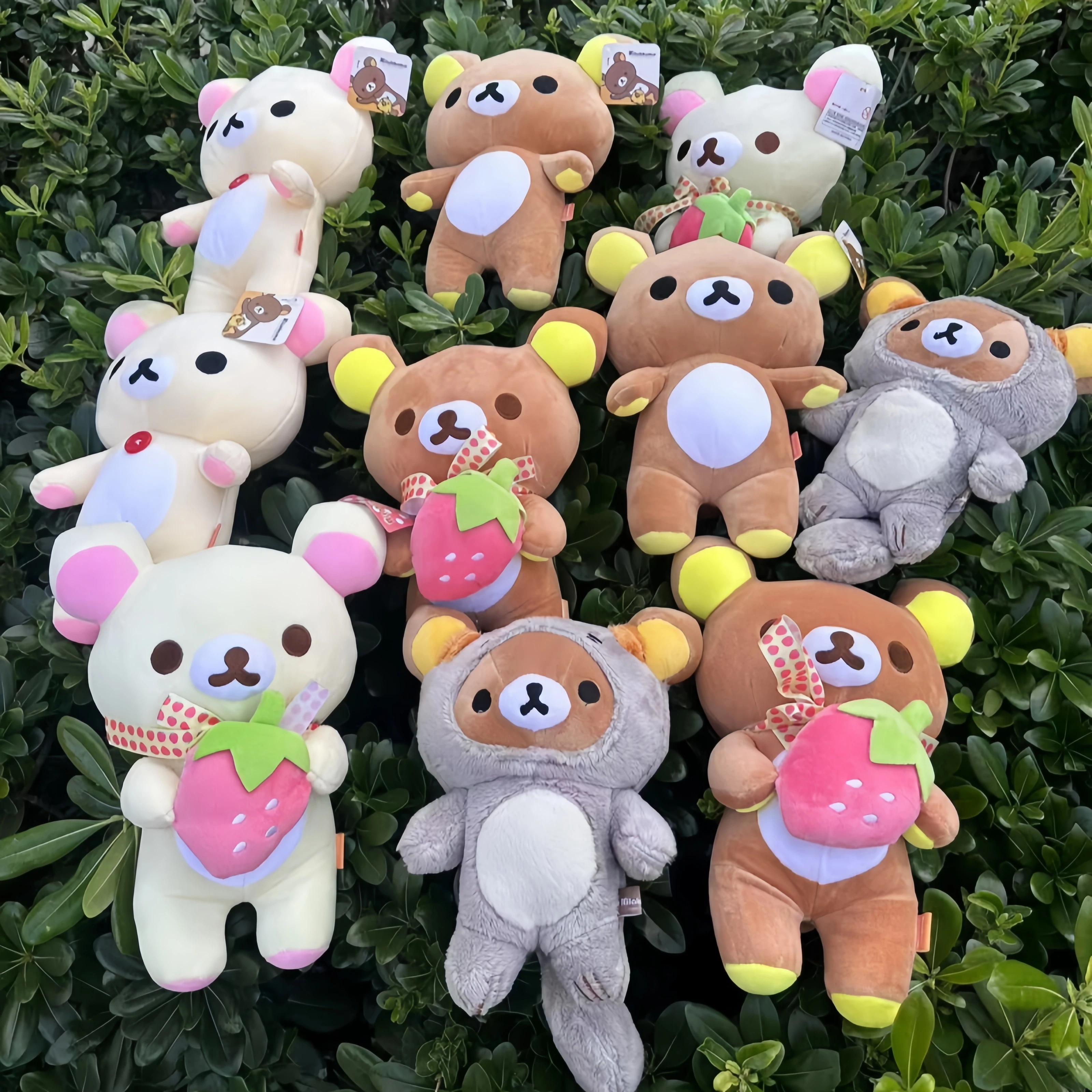 

Rilakkuma Plush collection Teddy Bear Peluche Lovely Anime Bear Stuffed Doll Kawaii Room Decor Toy Kid Xmas Present