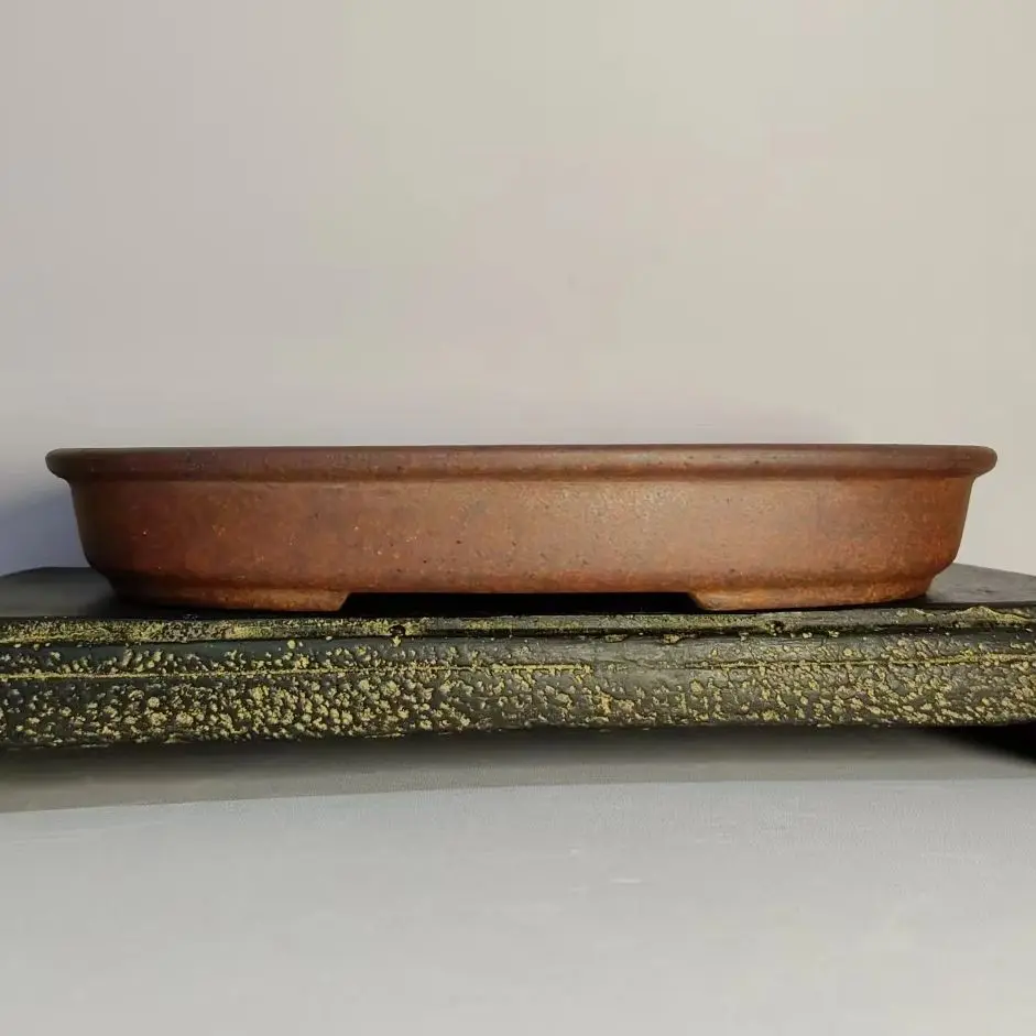Oval Shaped Unglazed Shallow Flower Pot