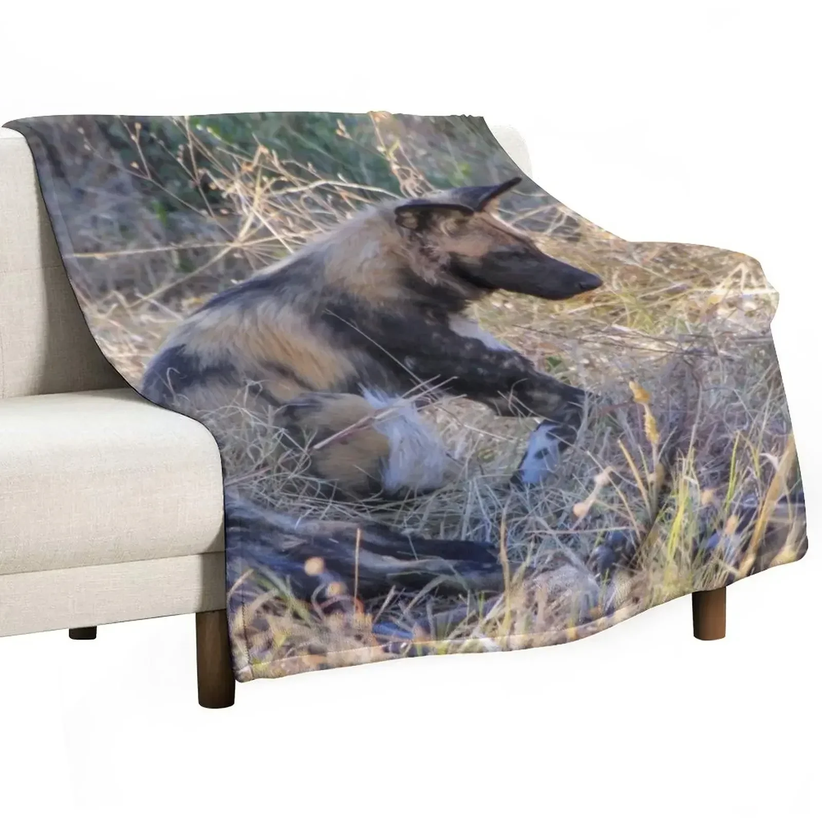 

New Wild dog sitting with its pack Throw Blanket Heavy Fashion Sofas Blankets