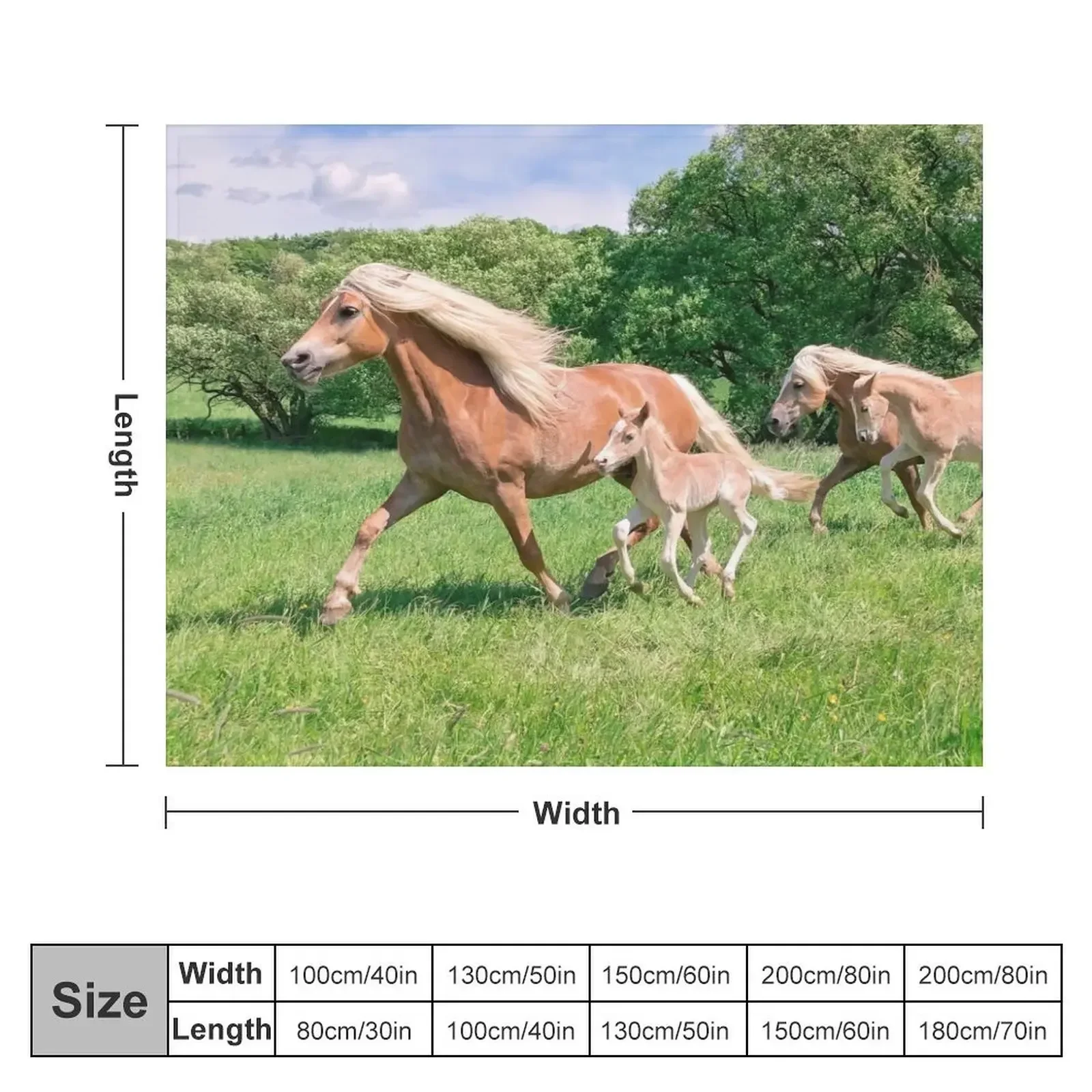 Haflinger horses run together Throw Blanket Flannels Comforter Blankets