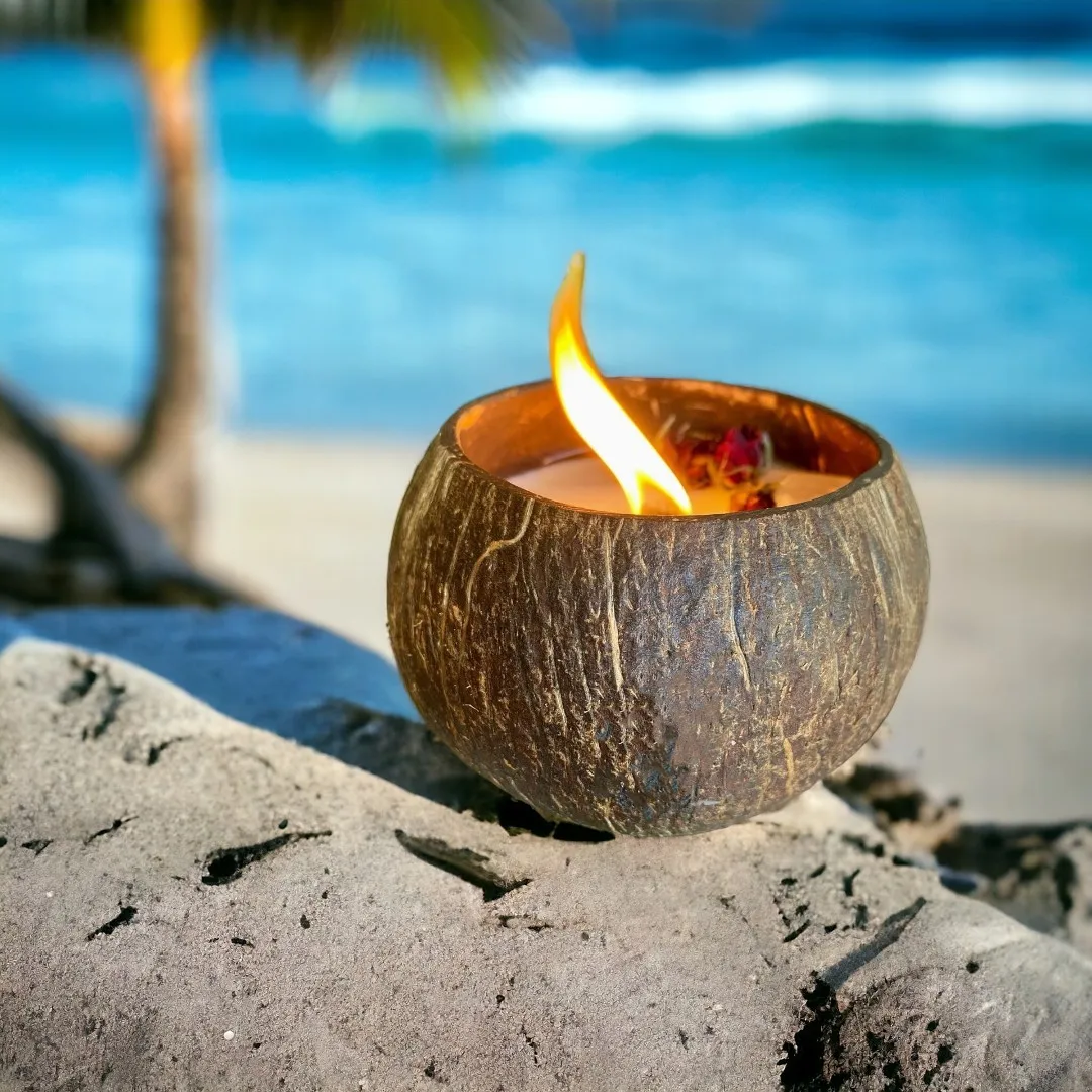 Baoye natural soybean wax coconut aromatherapy coconut shell candle wax wood cotton core wholesale fragrance household niche orn