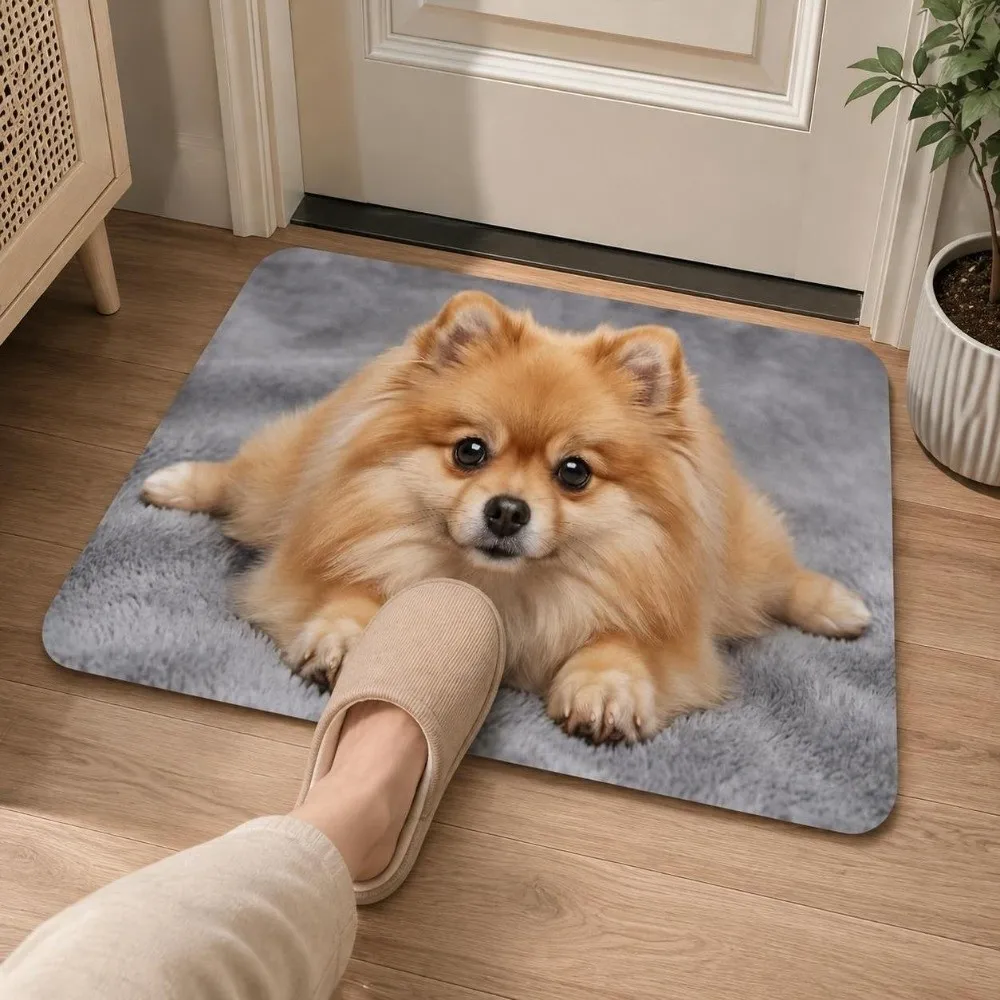 Durable Diatomite Dog Pattern Floor Mat Absorbent Non-slip Optical Illusion Doormat Washable Quick-dry Bath Mat Home Decor