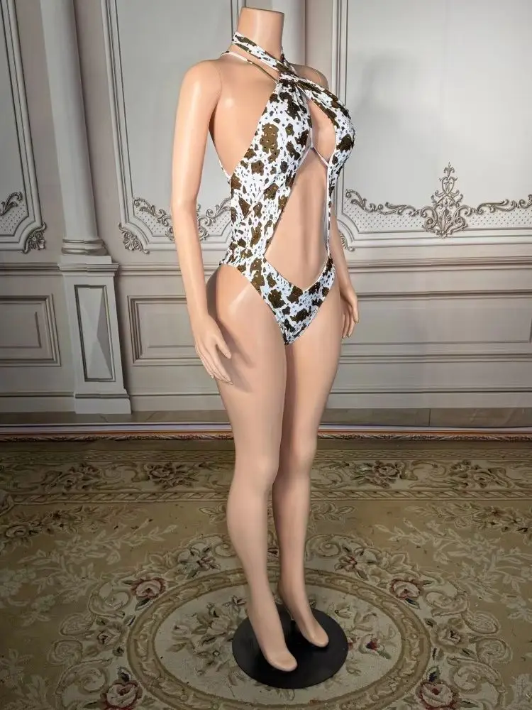 High Quality One-piece Swimsuit Sexy New Style Luxury Swimwear 1 Piece Spandex/Polyester Anti-Bacterial Eco-Friendly