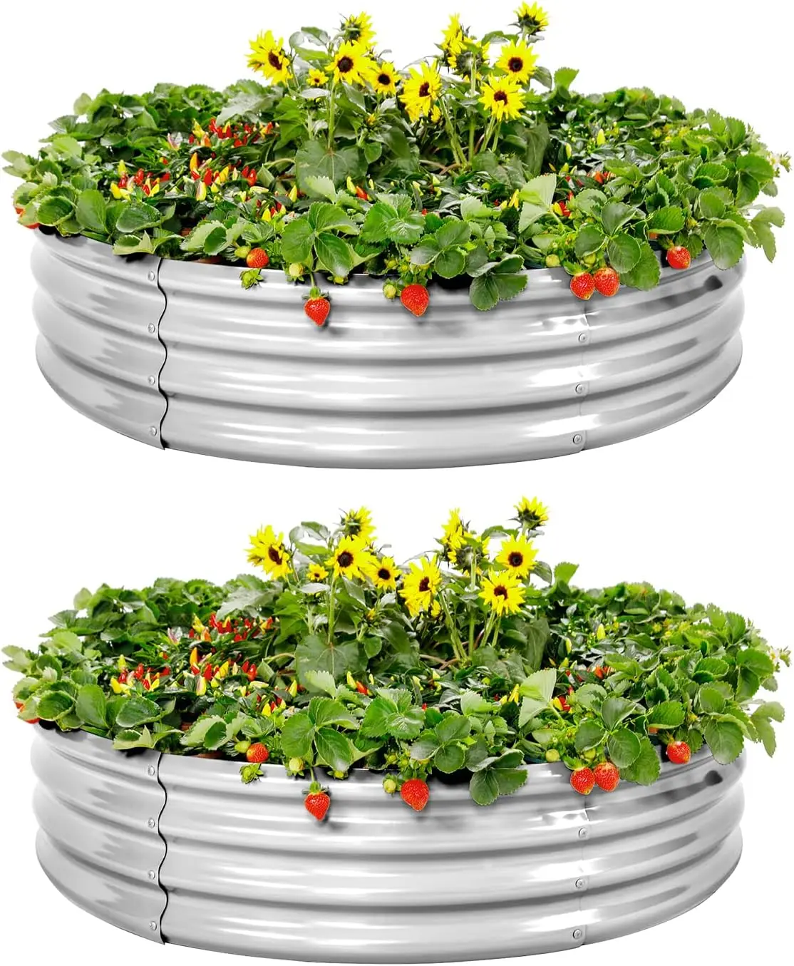 

2x2x1ft Galvanized Raised Garden Bed 2 Pack for Plants, Vegetables