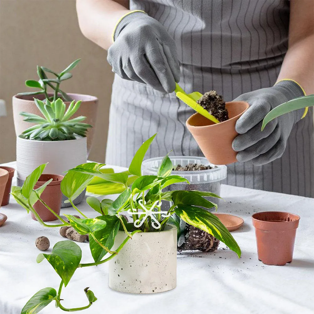 

2Pcs Plant Stem Support Holder Acrylic Flower Stem Fixator Rack for Monstera Bonsai Indoor Plants Stable Easy to Use Tool