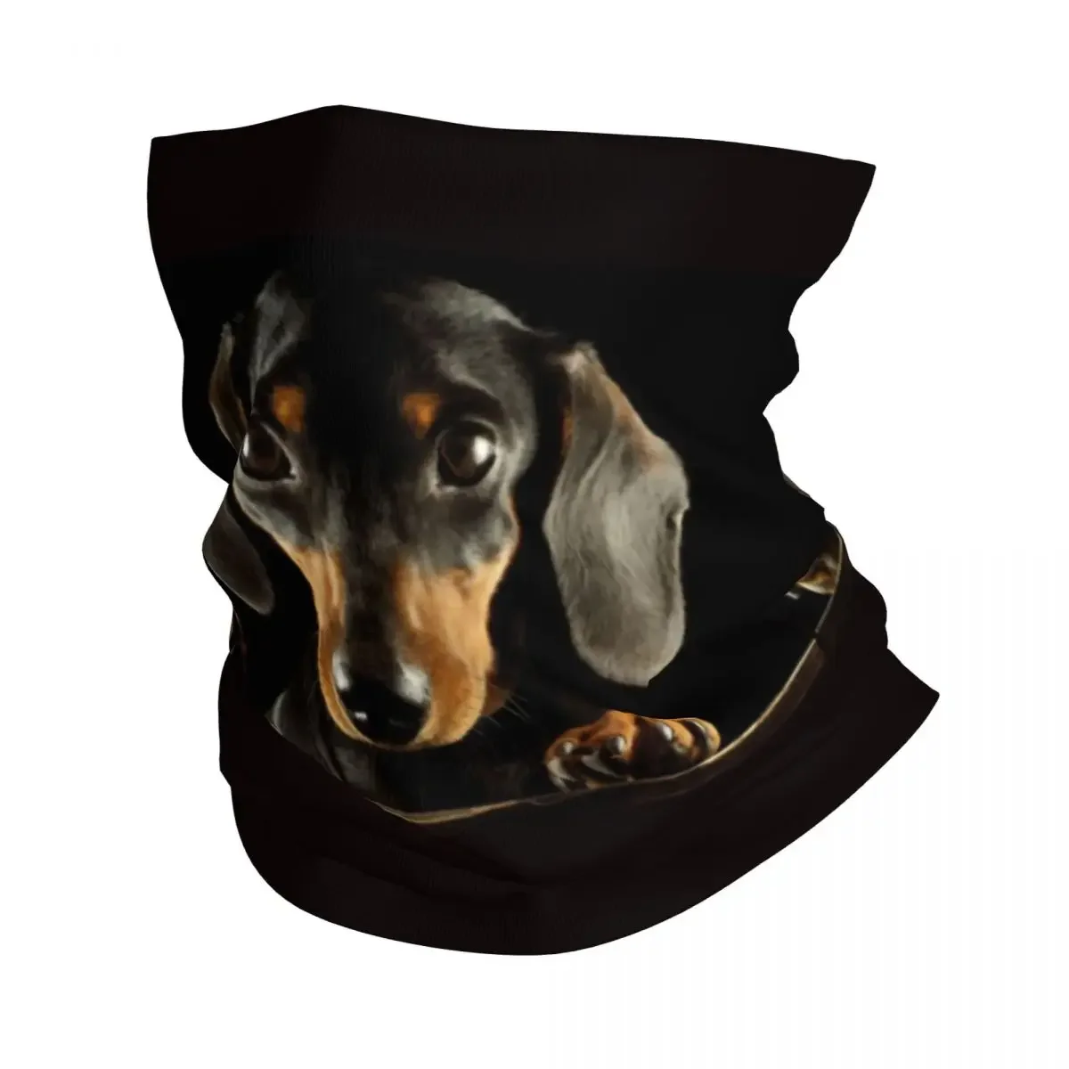 Cute Dachshund Dog Bandana Neck Gaiter for Ski Hunting Women Men Wrap Scarf Puppy Pet Headband Warmer