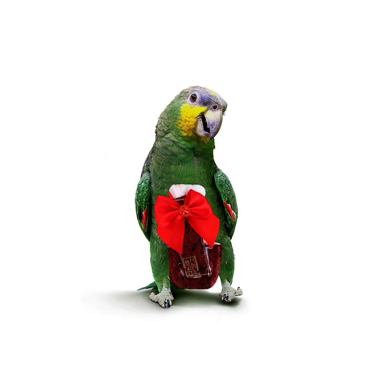 

1Pcs Parrot Flying Diaper Reusable Pant Lightweight Soft Absorbent Waterproof Outer Layer Bird Clothes Pet Flying