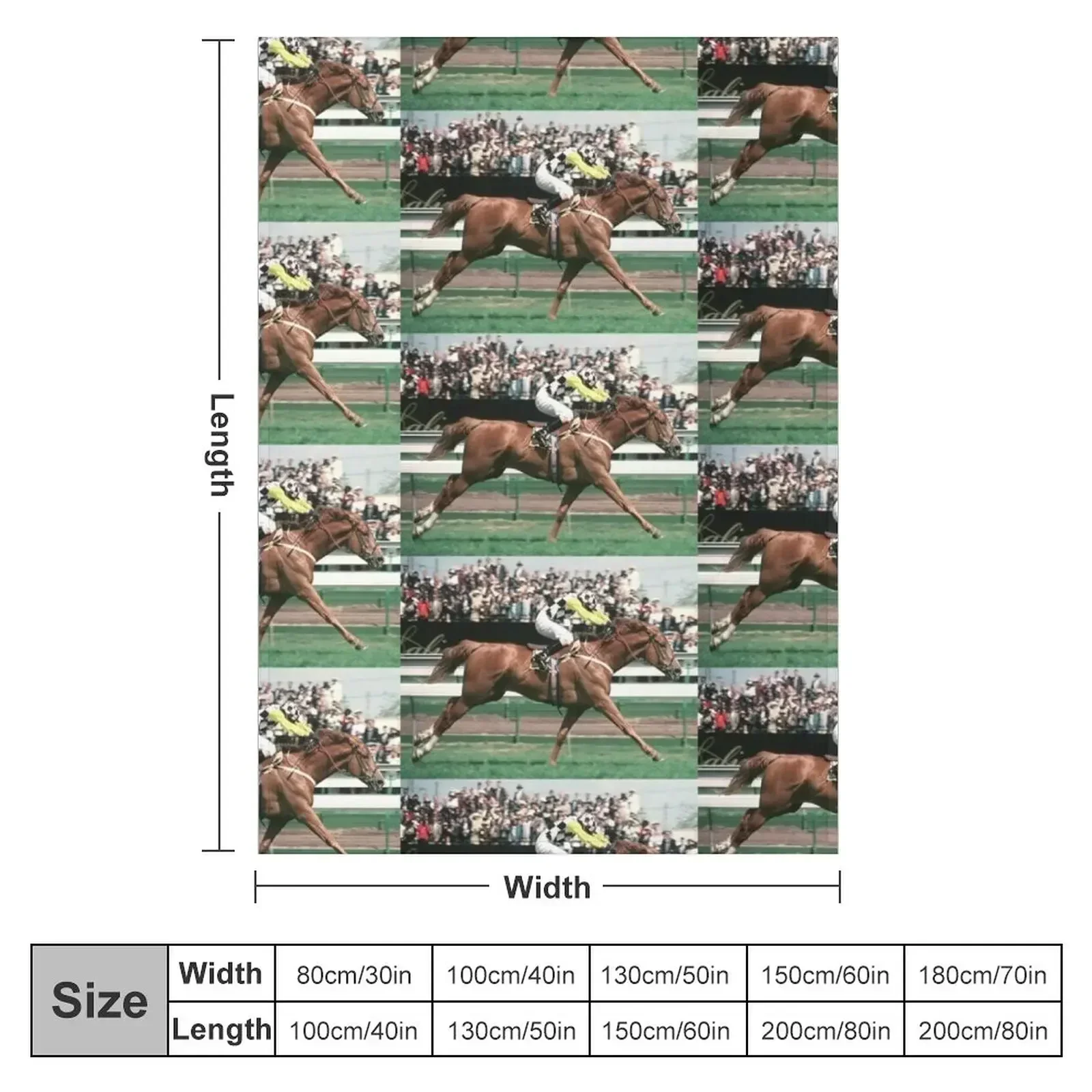 Saintly winning 1996 Melbourne Cup Throw Blanket Warm Plush Comforter warm for winter Blankets