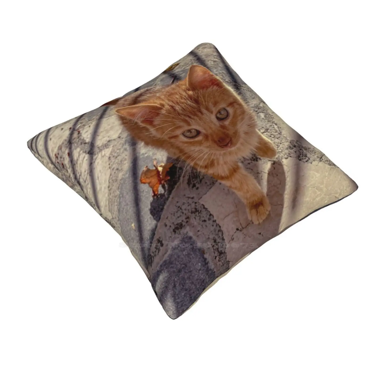 Ginger Cat Fashion Sofa Throw Pillow Cover Pillowcase Gingercat Kitty Cute Kitten Eyes Animal Pet Love Unisex Women Girls Boys