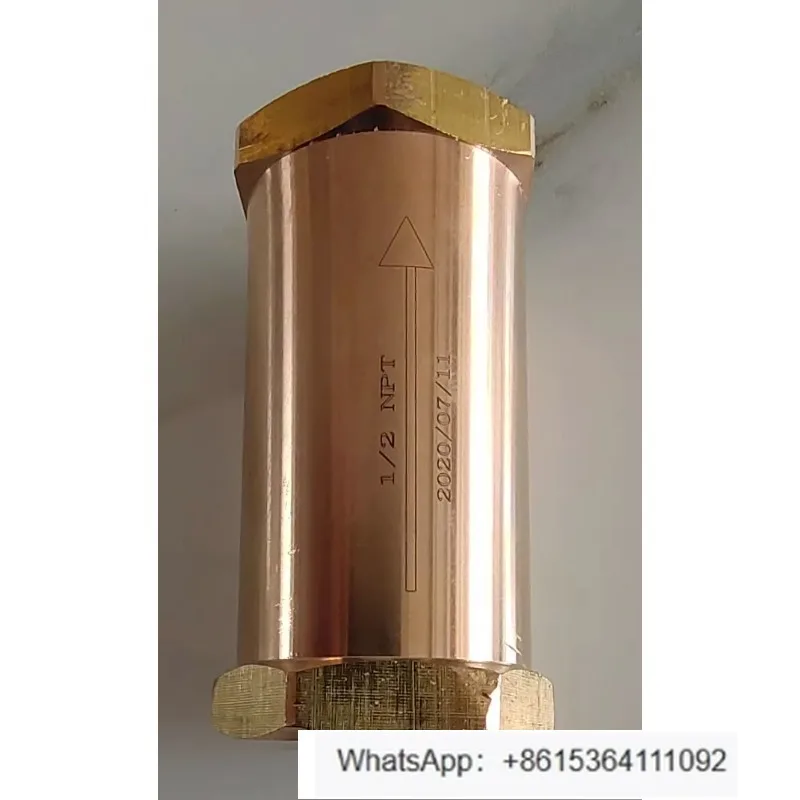 clapet-anti-retour-de-valve-d'entree-basse-temperature-de-bouteille-de-voiture-de-gnl-clapet-d'entree-basse-temperature-en-laiton-clapet-anti-retour-basse-temperature