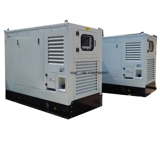 16Kw 20Kw Gas Electric Generator Biogas Generator Price