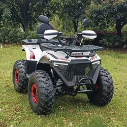 Quad Bike o pojemności 125 cm3 dla dorosłych 4-kołowy motocykl terenowy Buggy