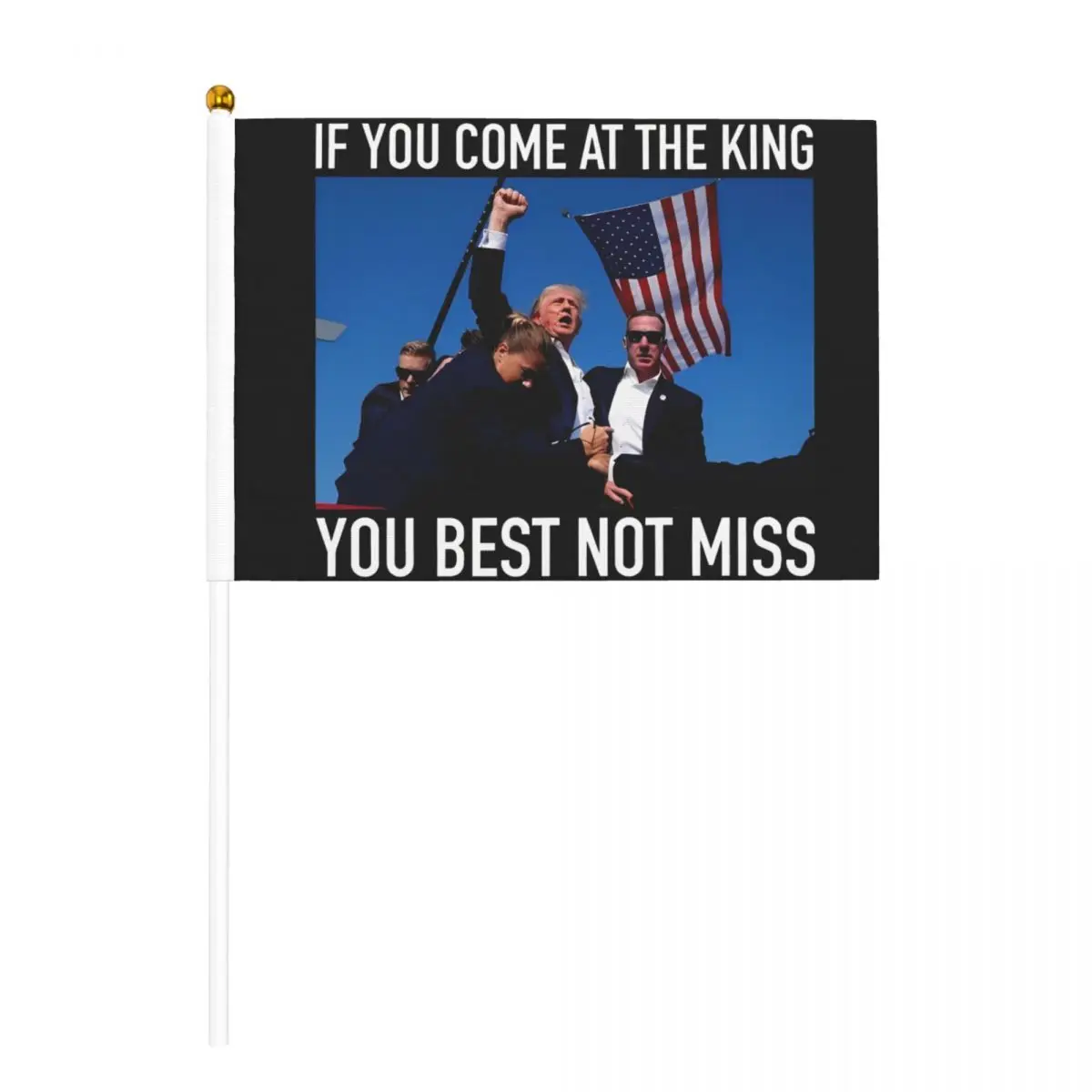 10 Pack Failed Shooting At Trump Rally Handheld Flags 5.5x8.3 Inch Golden Spear Top 2024 USA President Trump Stick Flags