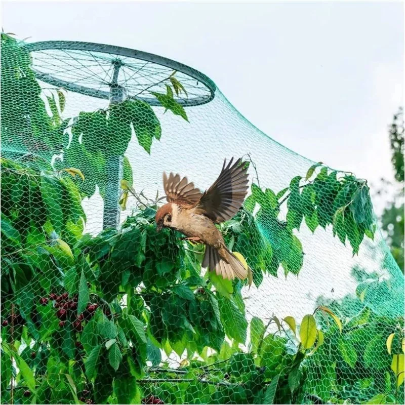Anti-bird Net Garden Protective Net Polyethylene Pe Extrusion Net Garden Plant Fruit Tree Block