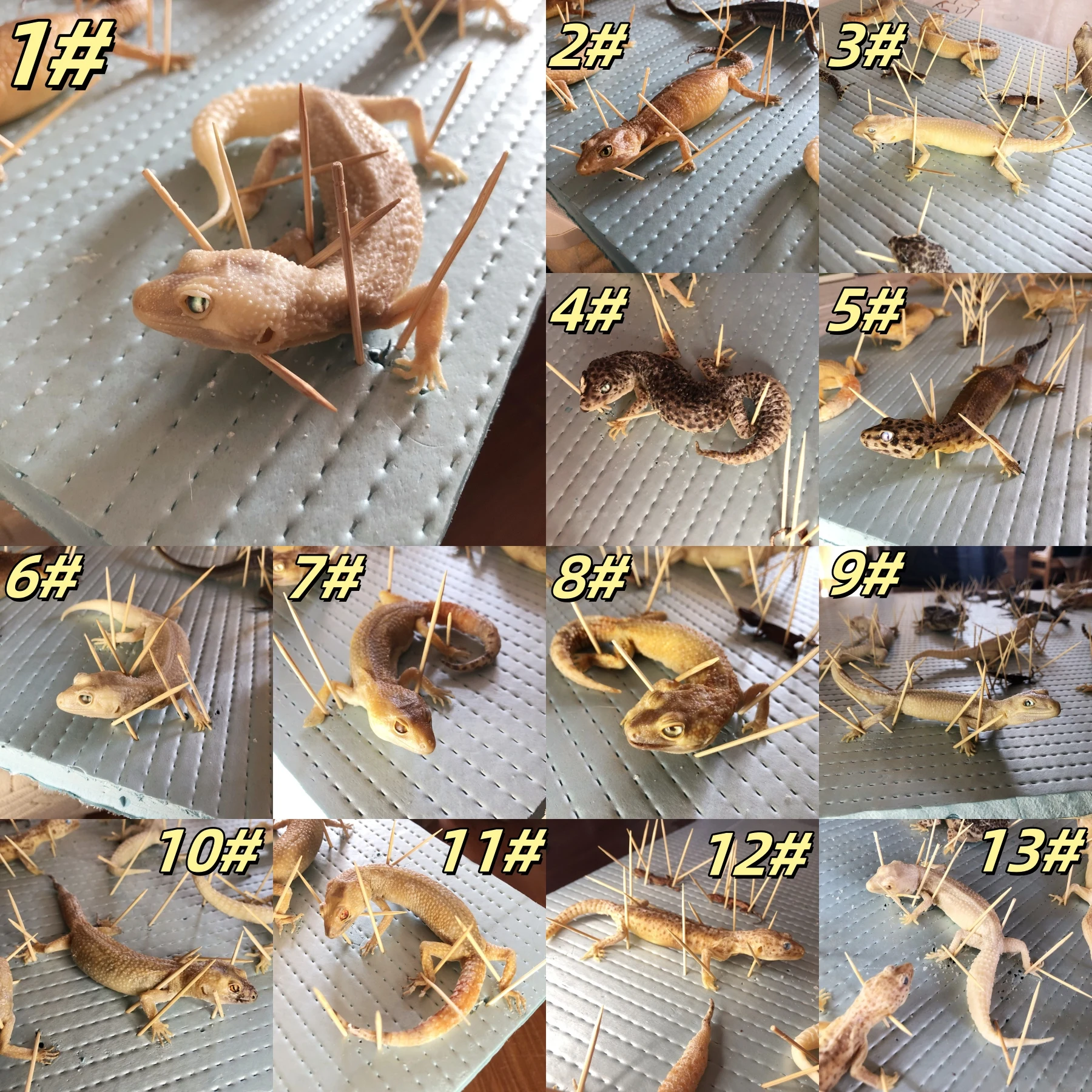 

2218 Clearance Sale Lizard Display Ornaments Geckos Animal Home Decor Creative Christmas Halloween Party Supplies Gothic Horror