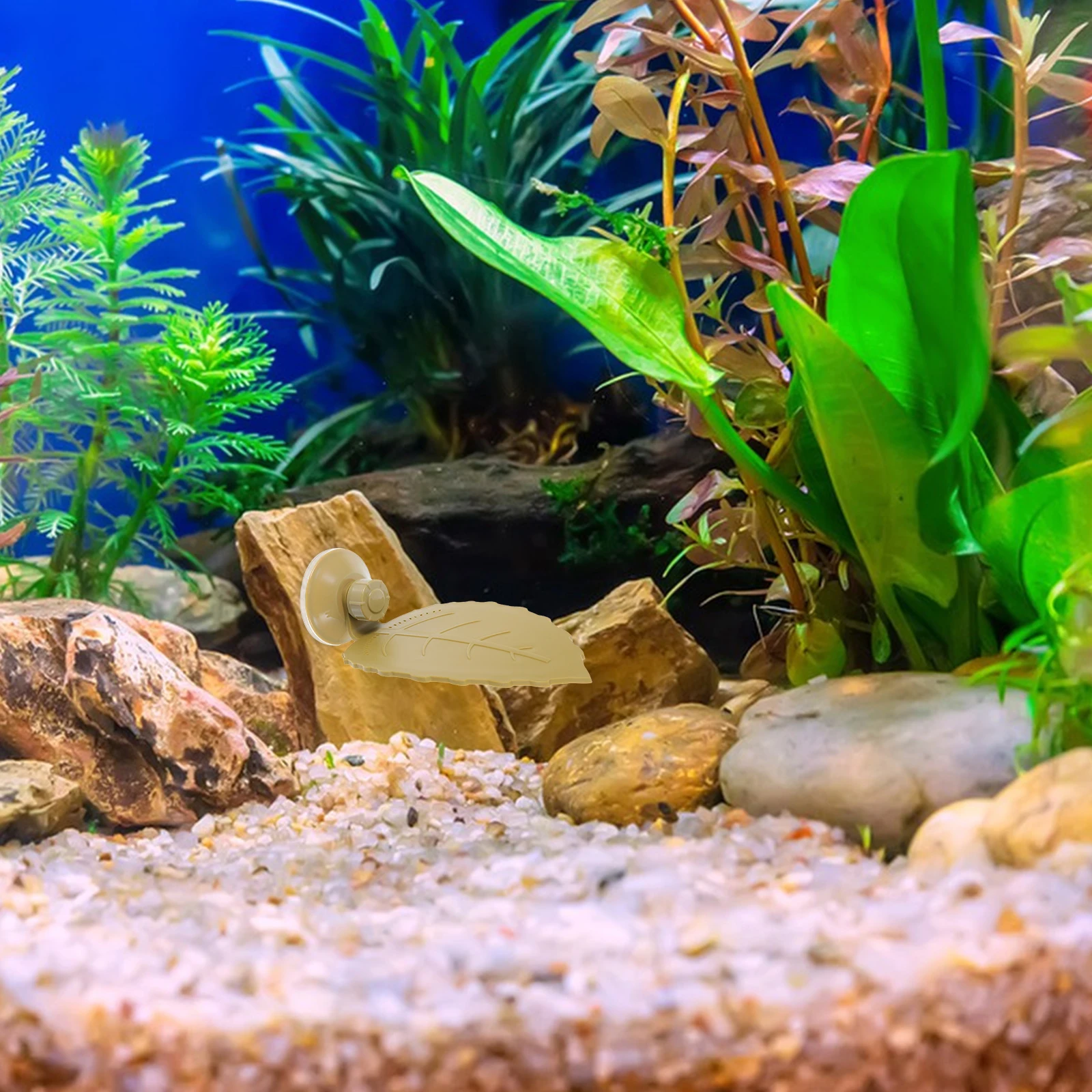 

Leaf Shaped Turtle Basking Platform Floating Turtle Island Aquarium Decor Suction Cups Reptile Ramp Habitat Accessory