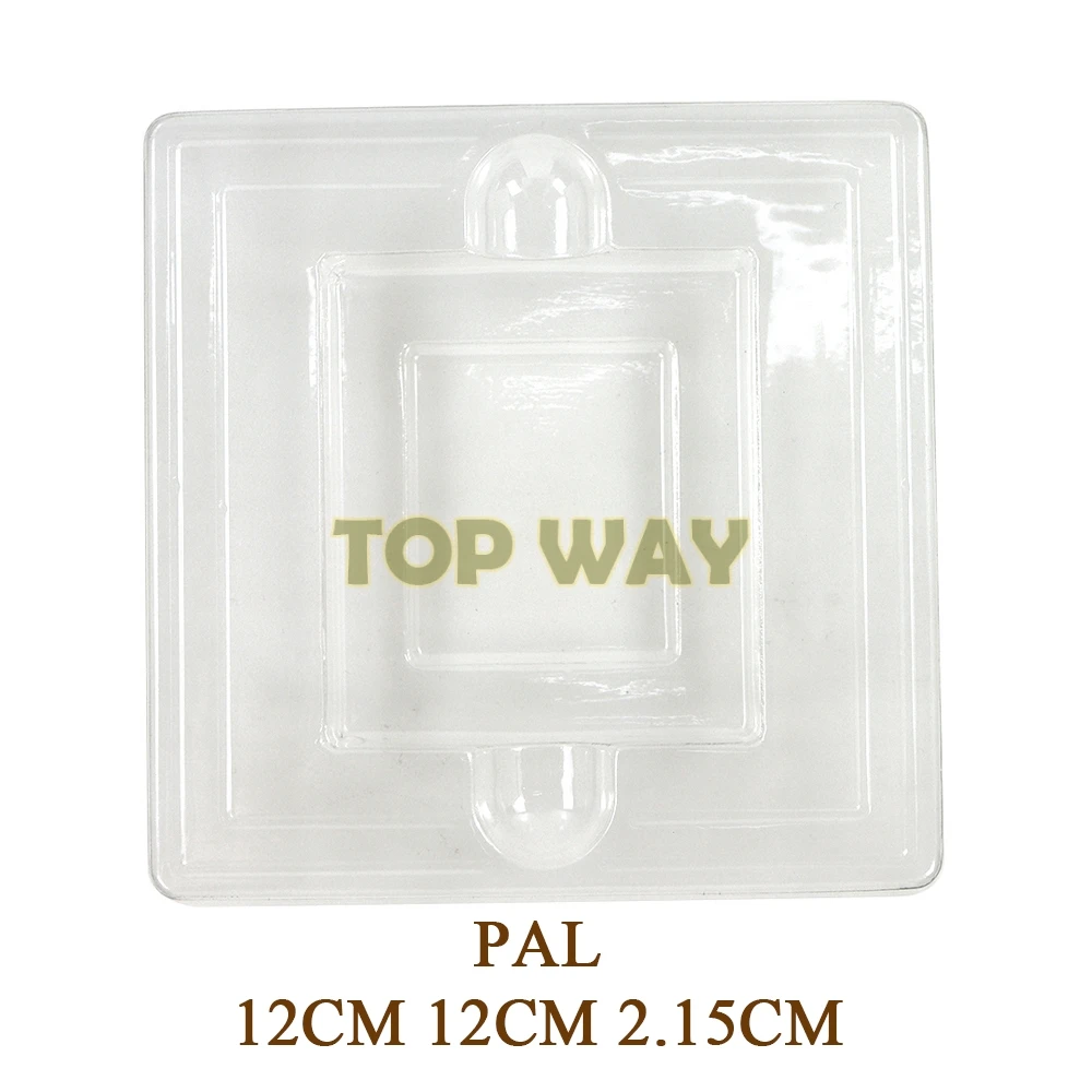 50 قطعة ل Gameboy اللون GBC الاتحاد الأوروبي الولايات المتحدة JP نسخة الأبيض واضح البلاستيك كرتون خرطوشة حالات صناديق إدراج الداخلية صينية البطانة ل GB