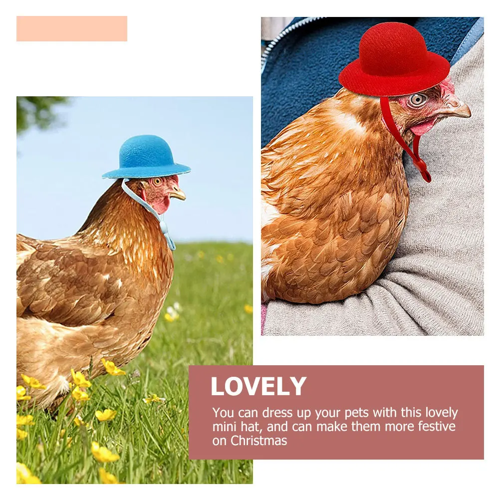 8Pcs Decorative Pet Hats Adjustable Chicken Accessory Cool Fashionable Appearance Holiday Wear Chicken Hat Decorative Snake Hat