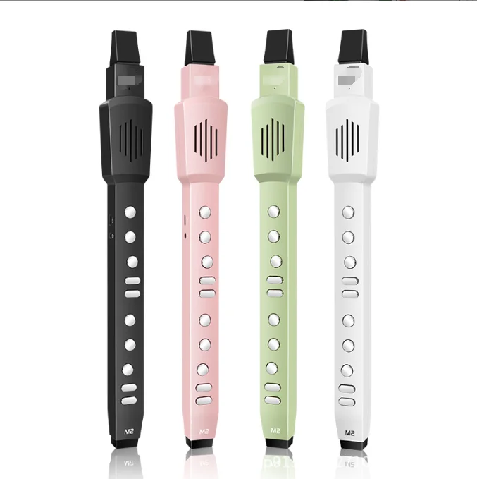 

Hooqu Customized Factory Electronic Blowpipe Vertical Flute Suona Instrument Electric Blowpipe