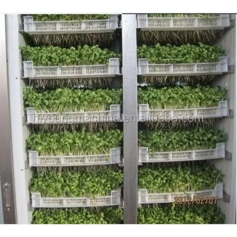 

mung bean sprouts making hydroponic seeds sprouting machine / sprout growing machine seedling sprout machine