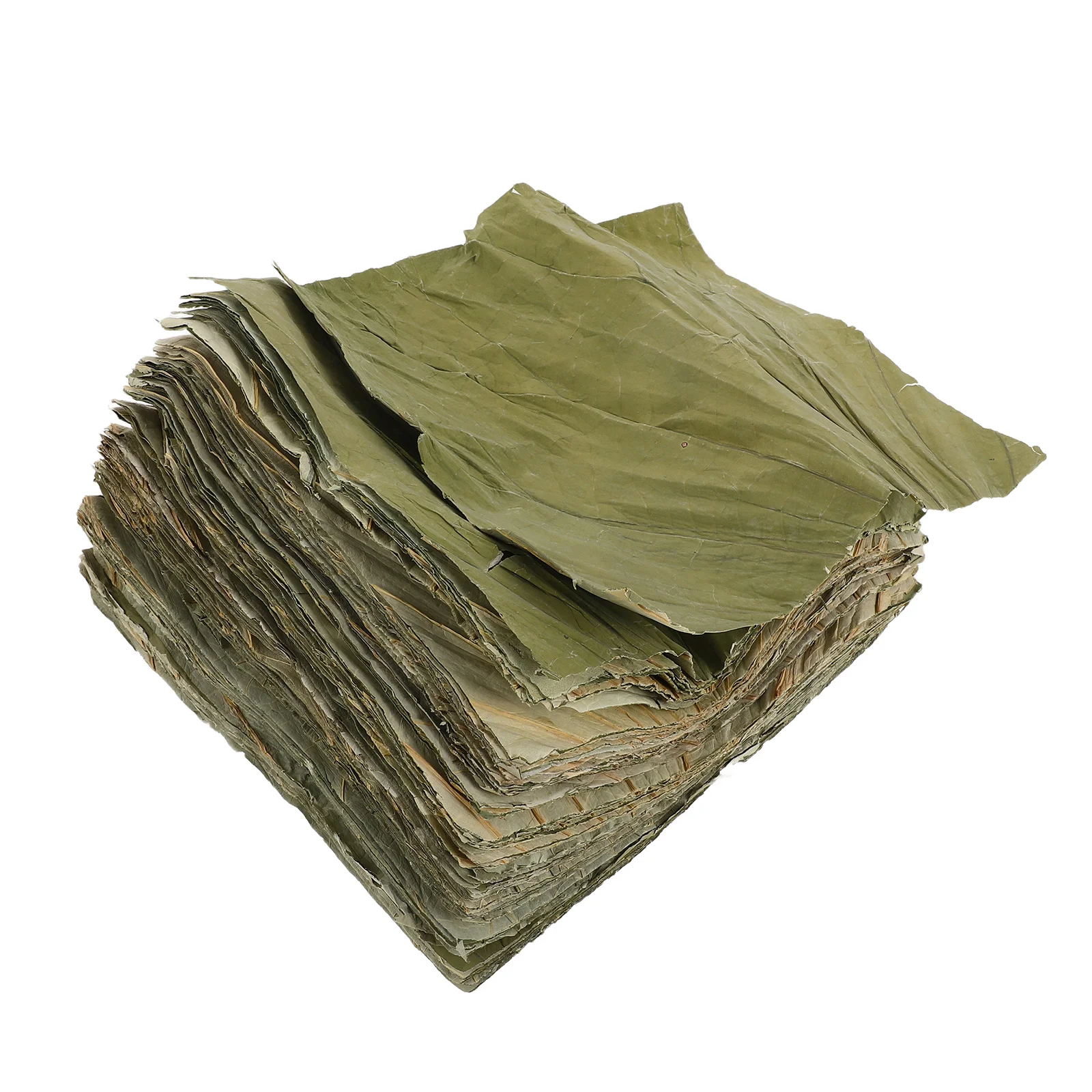 

100Pcs Lotus Leaf Sushi Plate Liner Dried Leaves Food Wrap Sheets Buffet Platter Serving Asian Food Presentation