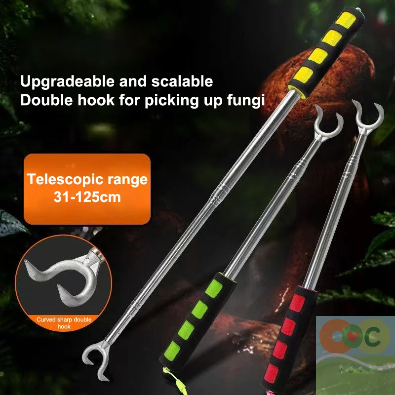 Reliable Mushroom H…