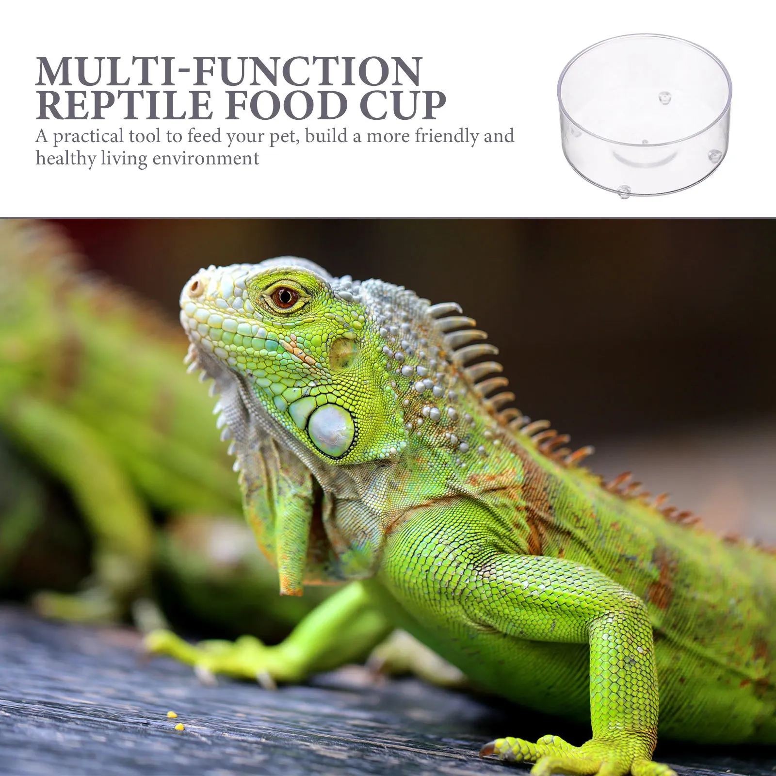 

30pcs Reptile Feeding Dish Transparent Deep Design Non-Slip Food Bowl For Turtle Gecko Lizard Snake Household Pet Accessory