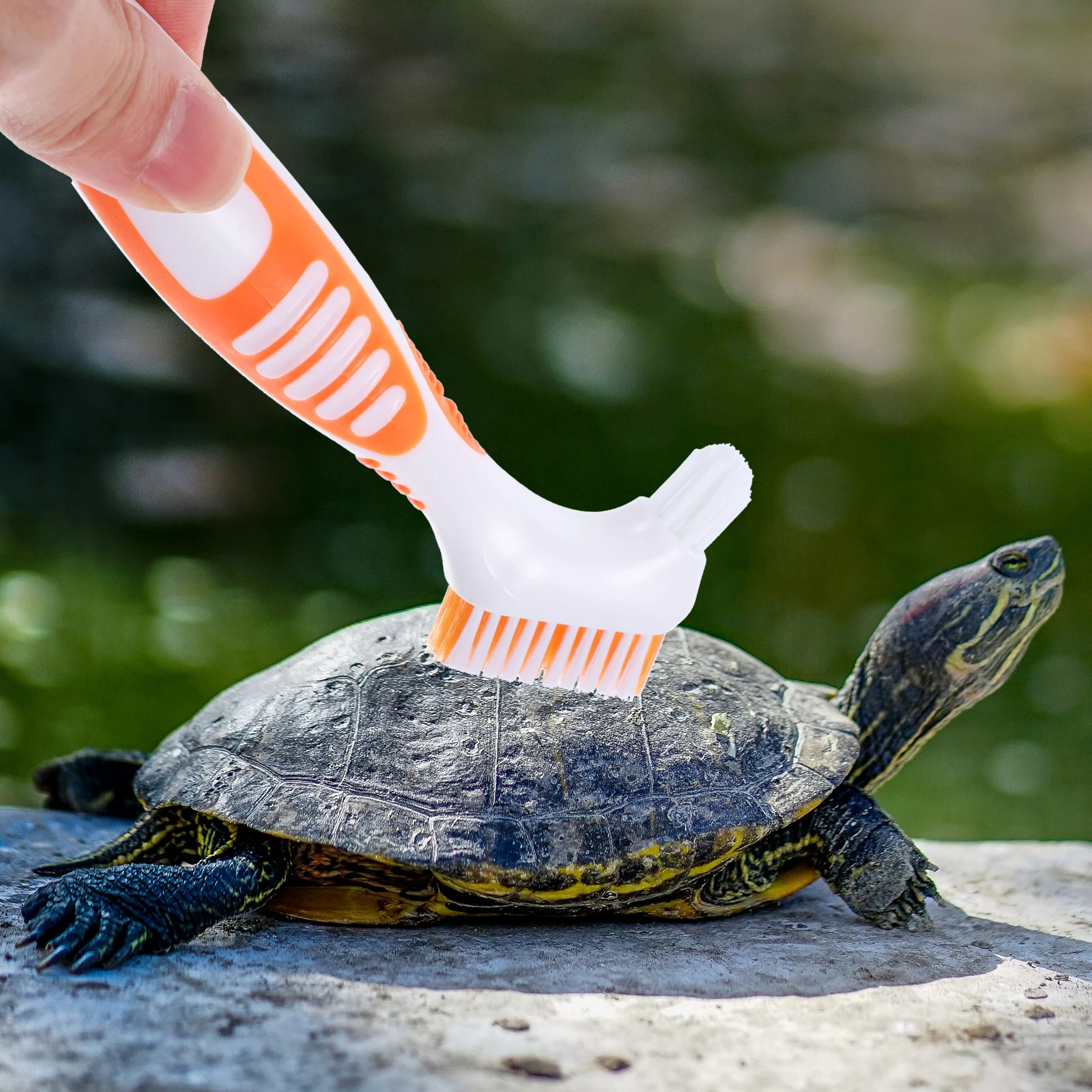 Turtle Shell Cleaning Brush Double-Sided Nylon Bristles Multi-Functional Portable Mini Tool For Tortoise Shell Mud Dirt Remover