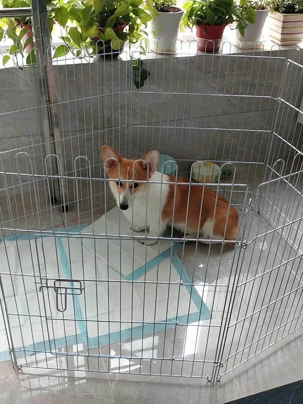 Thickened indoor galvanized isolation fence for small and medium-sized dogs