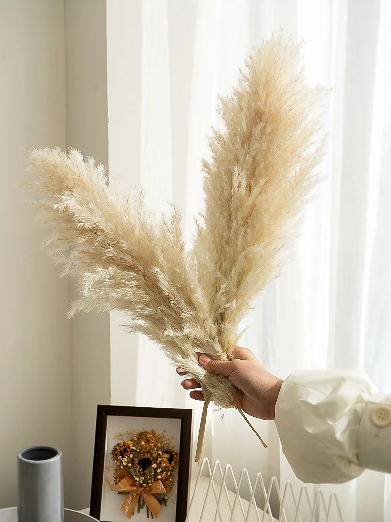 Large Pampas Grass Dried Flowers Bouquet Home Decoration Ins Gold Wire Small Grass Net Red Flower Photography Artificial Flowers