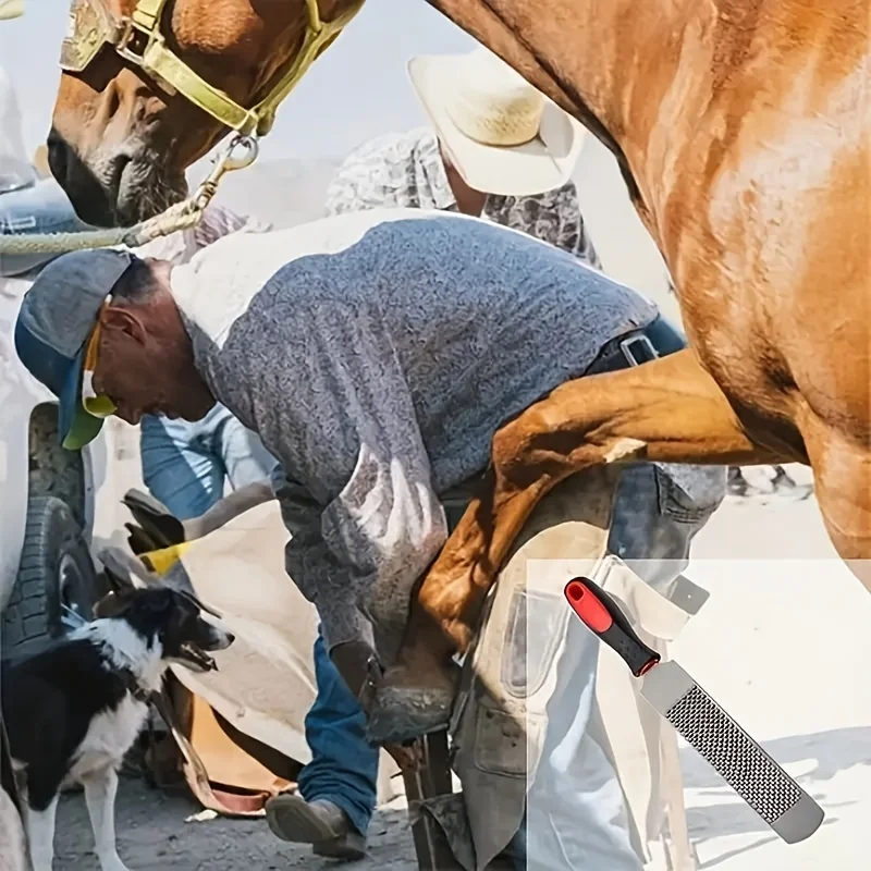 Professional Hoof Rasp Tool |   Steel Farrier File with Ergonomic Handle, Horse Hoof Trimming & Shaping for Stable Care