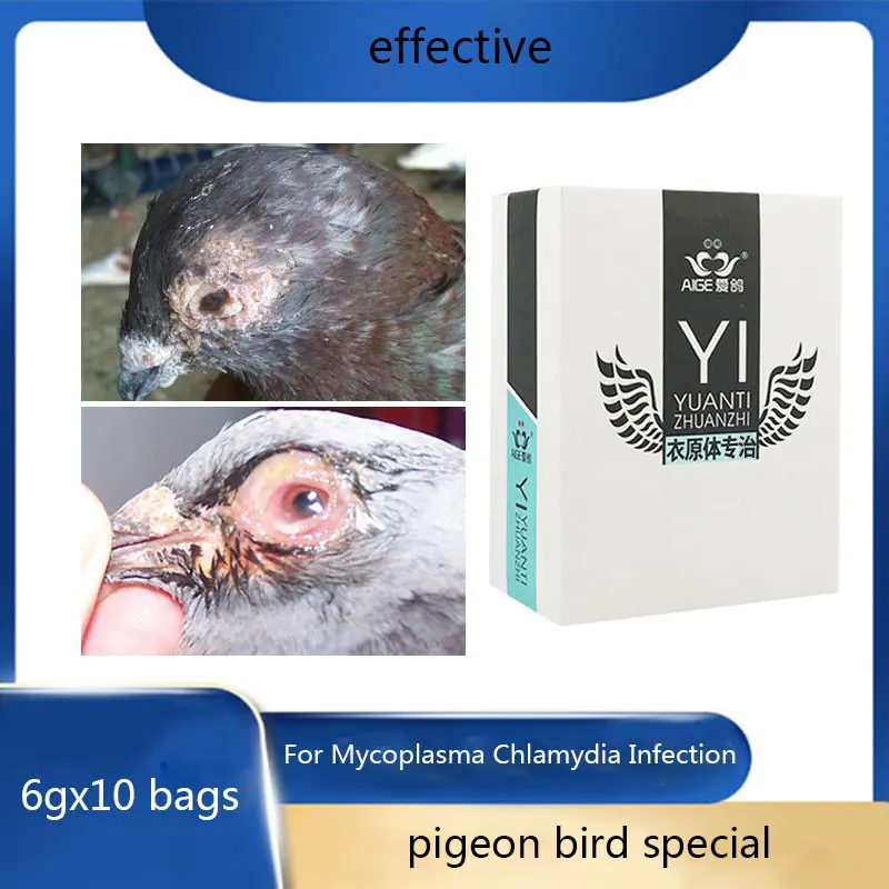 

Pigeon parrot chlamydia specializing in 6gX10 bags of letter racing pigeons with one eye cold and tears clothing original net