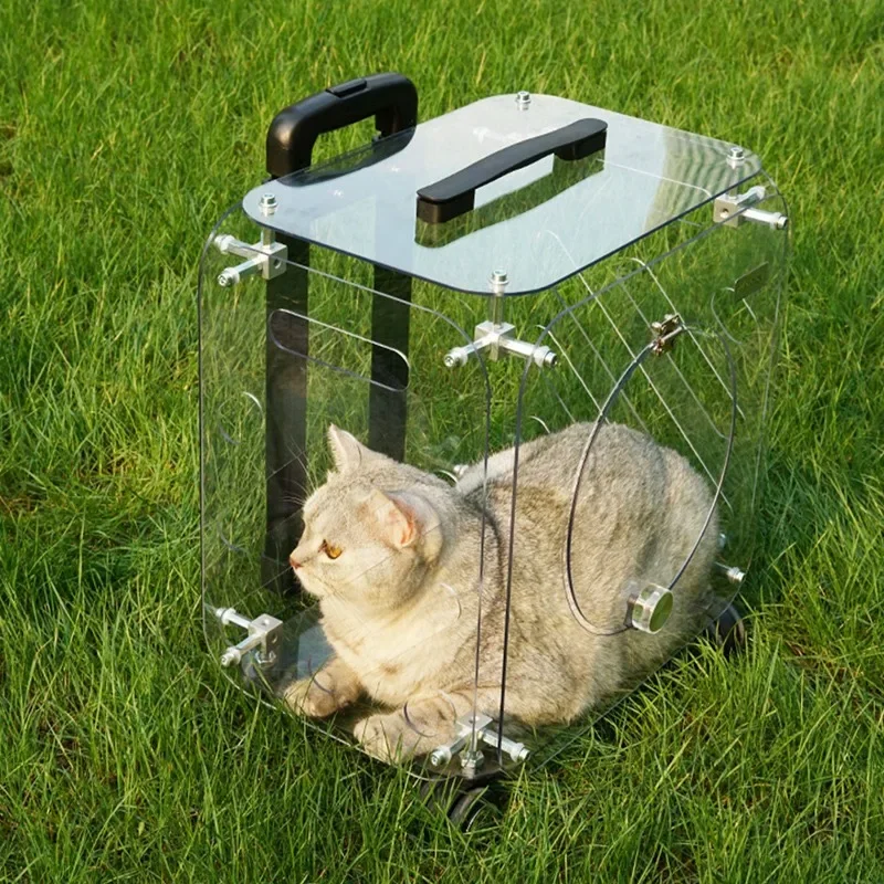 Fully Transparent Trolley Case Portable Cat Bag Pet Carrier Large Capacity Dog Suitcase Travel Artifact
