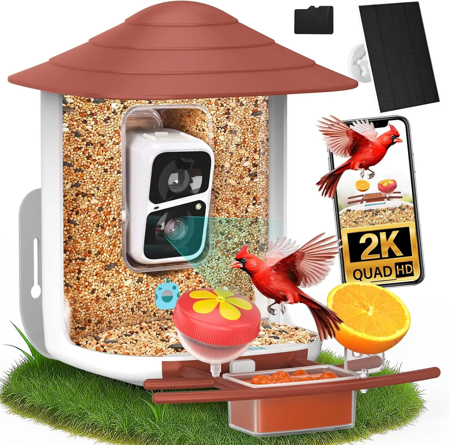 

2K HD Bird Feeder with Camera, Solar Panel & AI Identify, Auto Detect Notify, Wireless Outdoor Gift for Bird Lovers