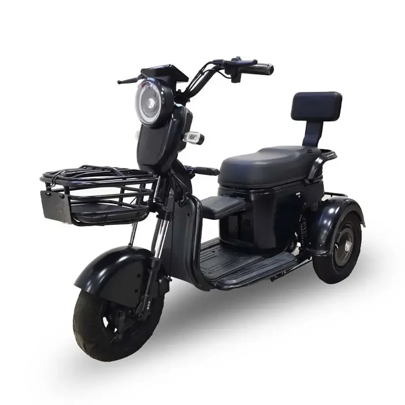 Normal Hydraulic Shock Absorber Trike Cargo Electric Tricycle for Adults