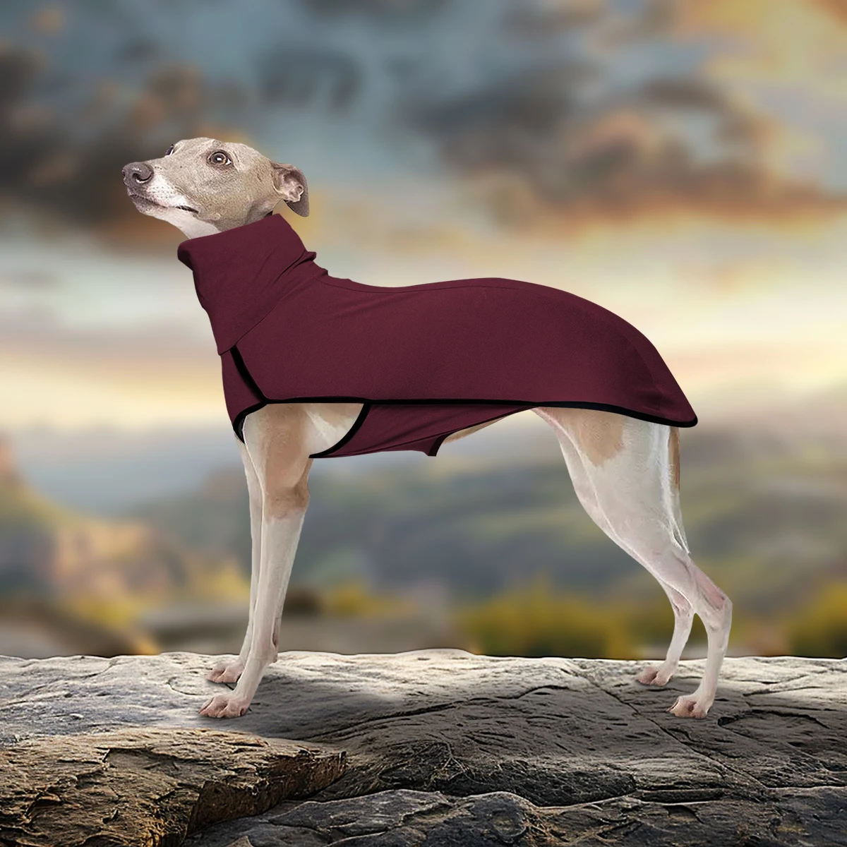 Thumbnail 3 - #90 Best Turtlenecks to Buy In 2026