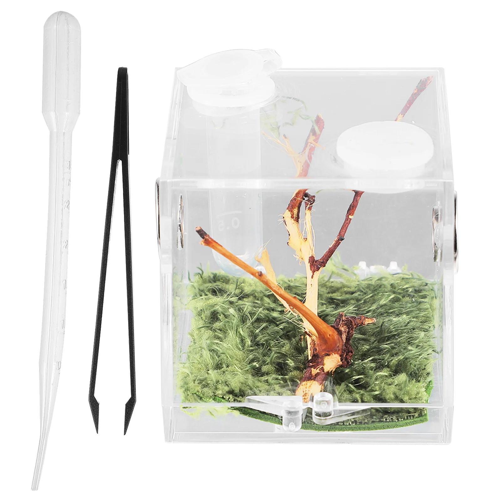 Pet Breeding Box with Dropper Forceps Spider Terrarium Acrylic Reptile Cage for Crabs Turtles Insects Lightweight Ventilated