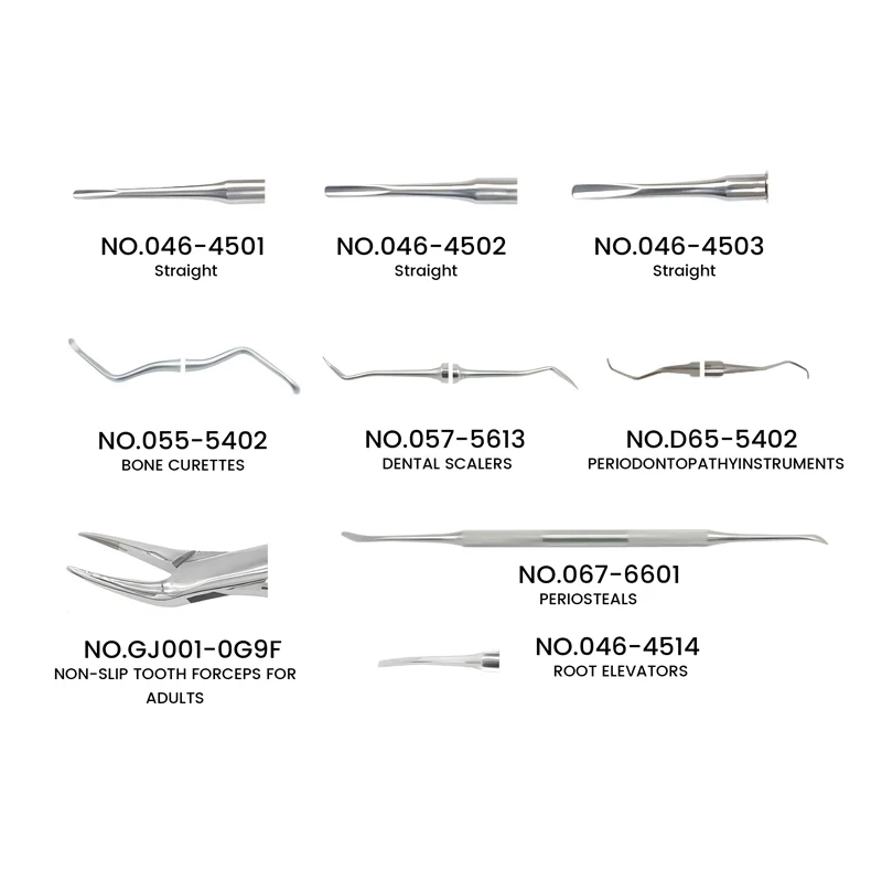 Veterinary Oral Cleaning Surgery Tooth Extraction Tools Stainless Steel Rodent Small Animal  Kit For Canine Feline Rabbit