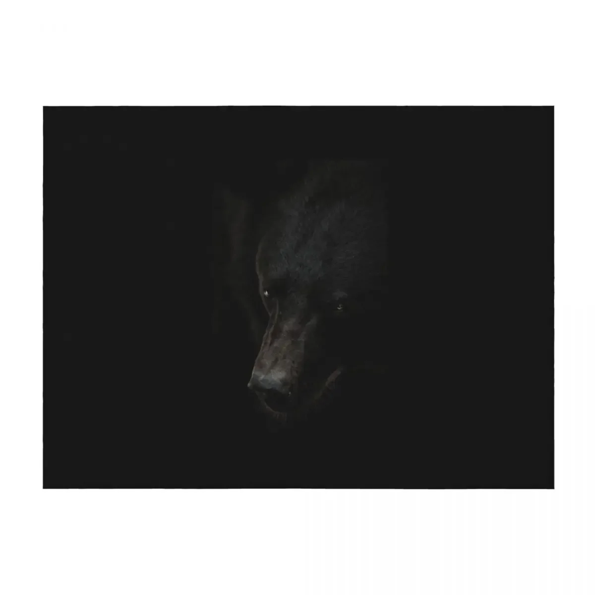 

black bear Throw Blanket Warm for babies Large Decorative Sofa Blankets