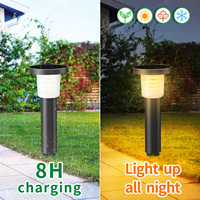 INTELAMP solar lamps for outdoor garden with remote control, 40 cm garden lighting solar [Energy class A] 2Pack