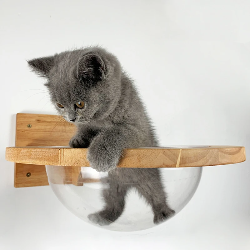 Wall-mounted Transparent Space Capsule Cat Wall House Cat Tree Wooden Cat Climbing Frame Kitten Bed Springboard Pet Furniture