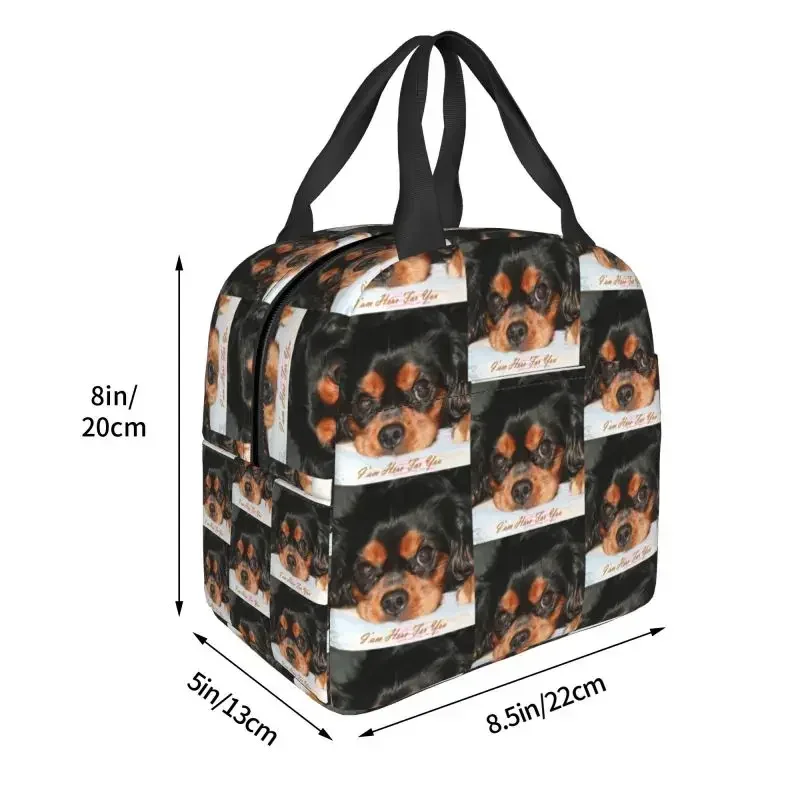صناديق الغداء المحمولة كافالير كينغ سبانيل جرو للحيوانات الكلب برودة الغذاء الحراري معزول حقيبة الغداء مدرسة الاطفال