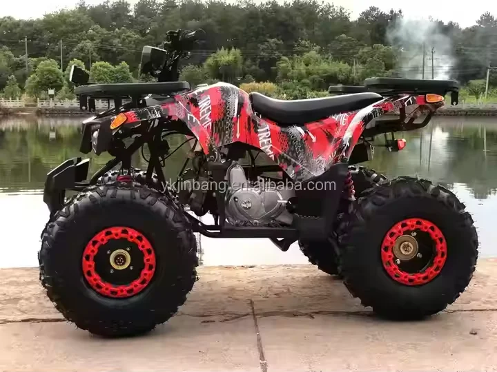125cc 4 Stroke 1 Cylinder Air-Cooled Automatic ATV 4 Wheeler with Chain Drive Transmission