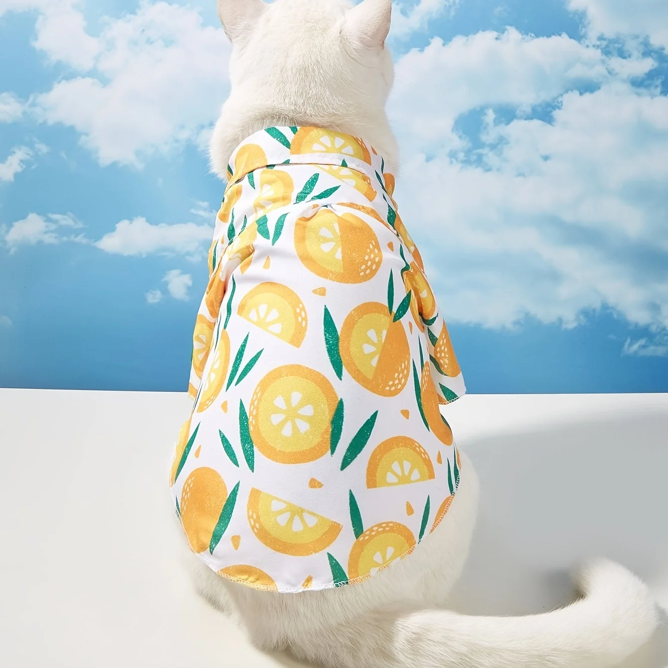 Pet clothes, dog and cat shirts, lightweight, breathable, comfortable, orange pattern, simple, generous, fresh and cute, suitabl